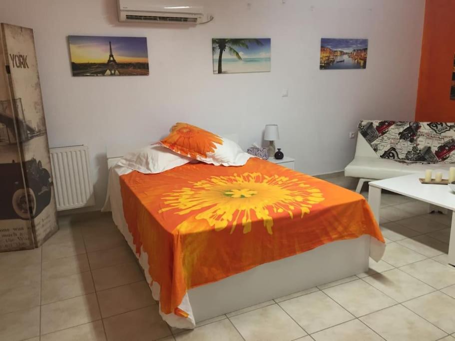 Studio Lucia Argostoli  Eksteriør bilde